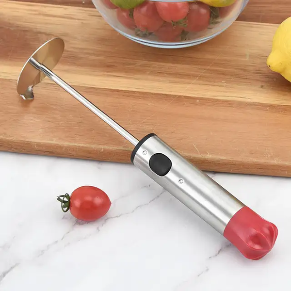 FRUIT CUTTER SET