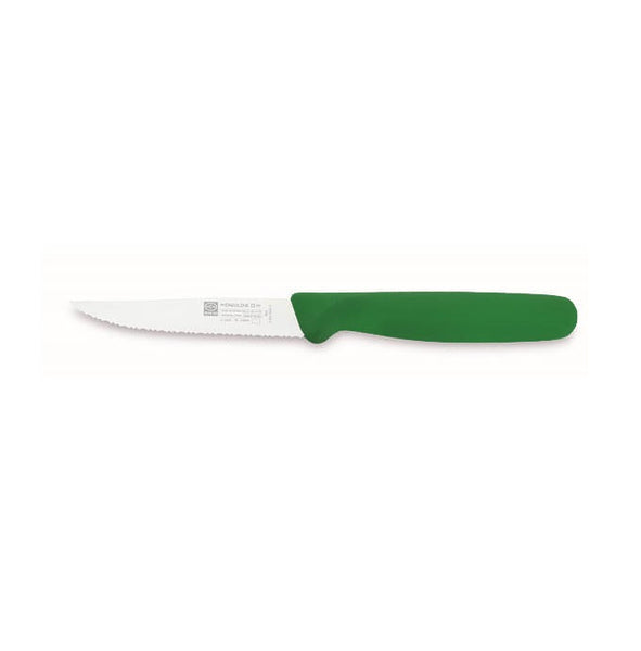 STEAK KNIFE ERGOLINE