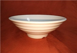 MELAMINE BOWL 22.5*8.8